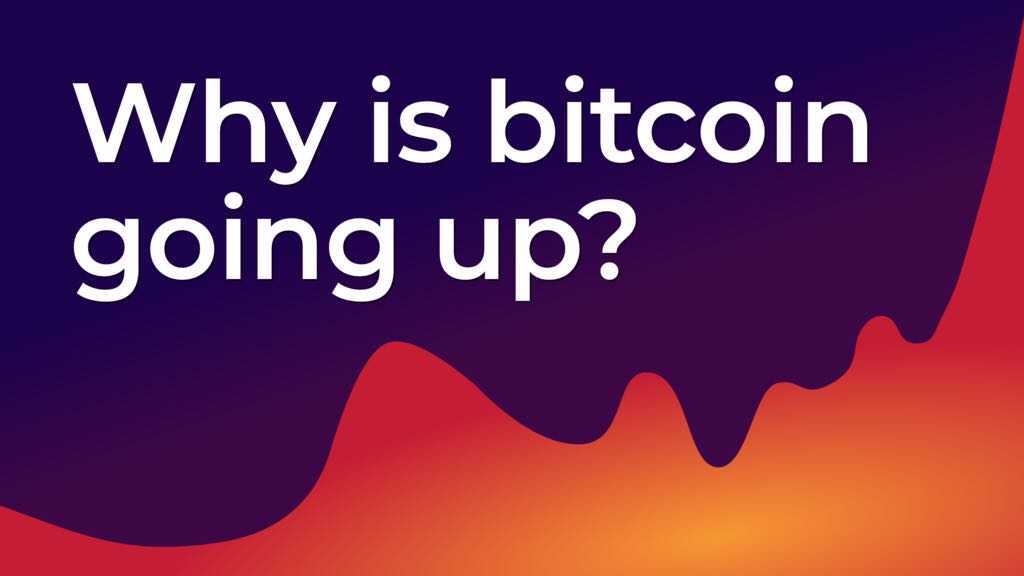 Why is bitcoin going up?