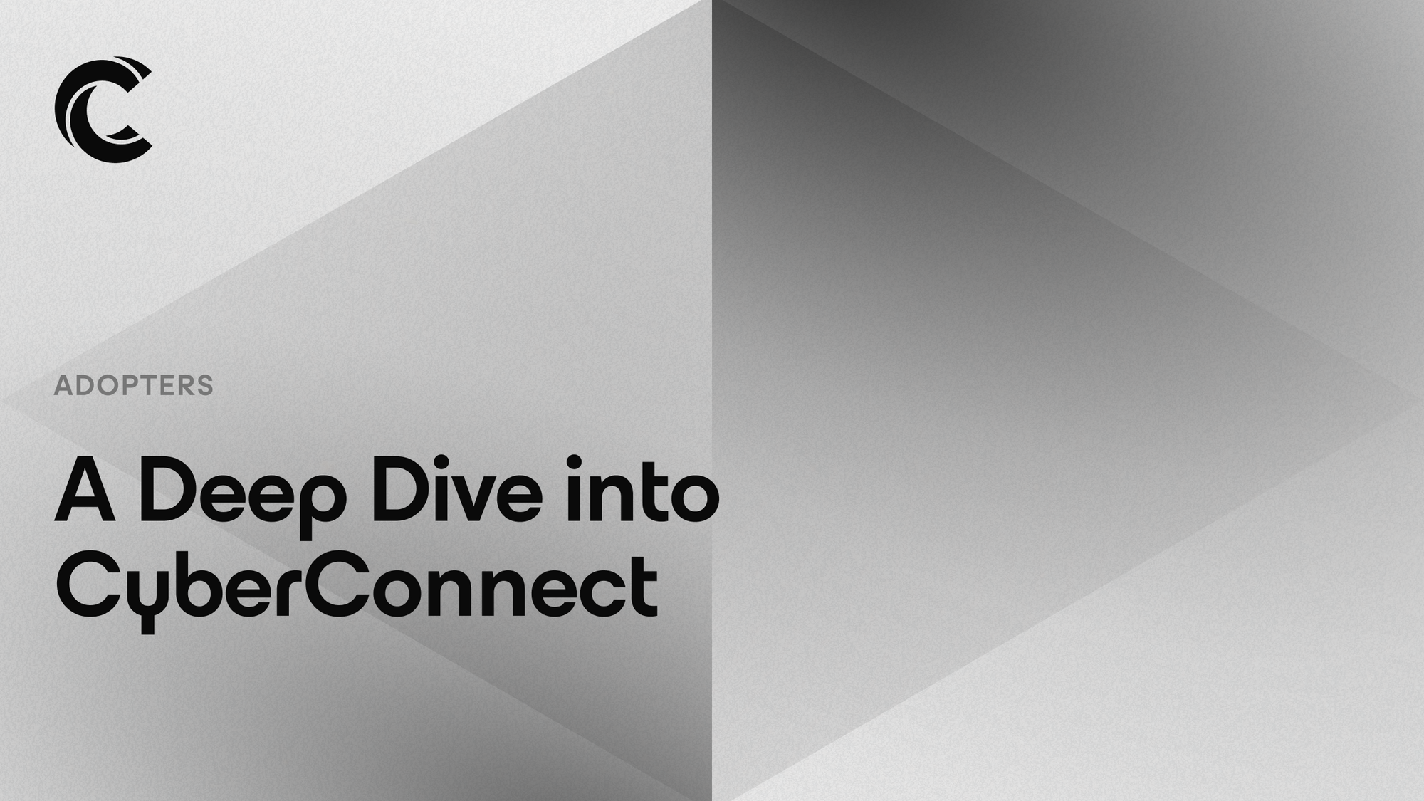 A Deep Dive into CyberConnect